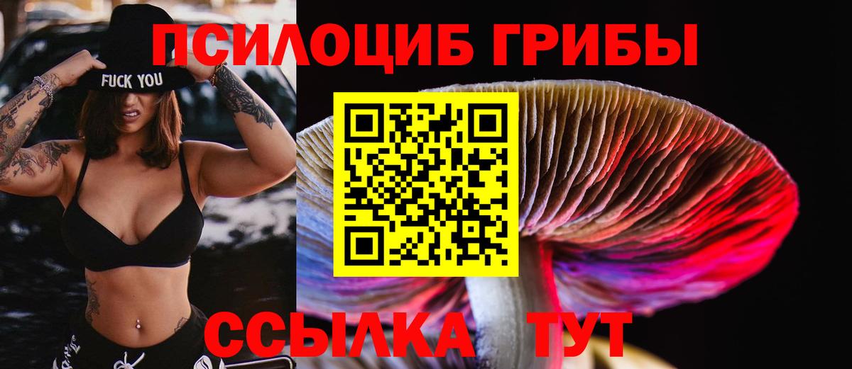 Псилоцибиновые грибы Cubensis  Псилоцибиновые грибы Psilocybine cubensis  Мыски  Вход с VPN 